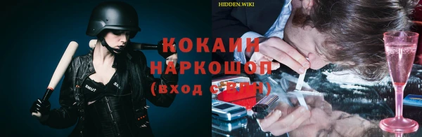 ПСИЛОЦИБИНОВЫЕ ГРИБЫ Алзамай