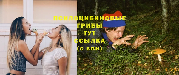 дмт Алексеевка