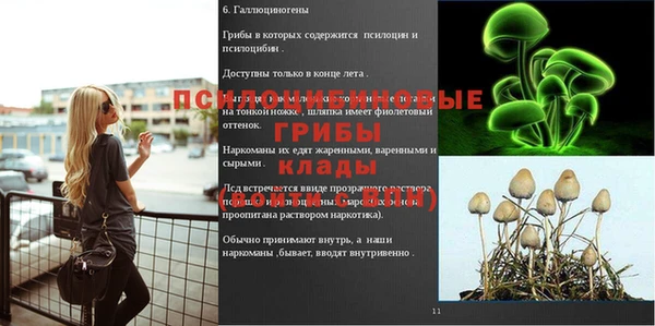 дмт Алексеевка