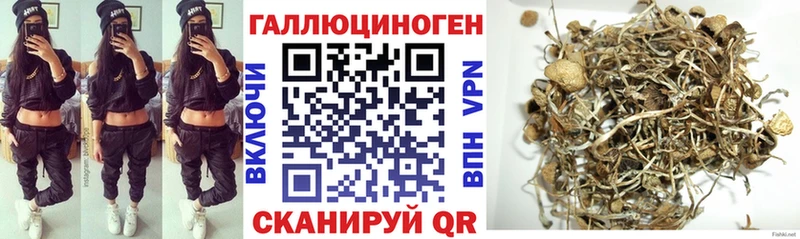 купить  цена  Кукмор  гидра ссылки  Галлюциногенные грибы MAGIC MUSHROOMS 